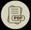 icone pdf 100