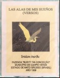LAS ALAS DE MIS SUEÑOS